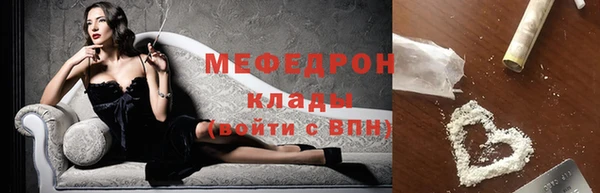 индика Зеленодольск